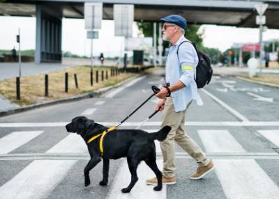 Mehr Informationen zu: LOC.id